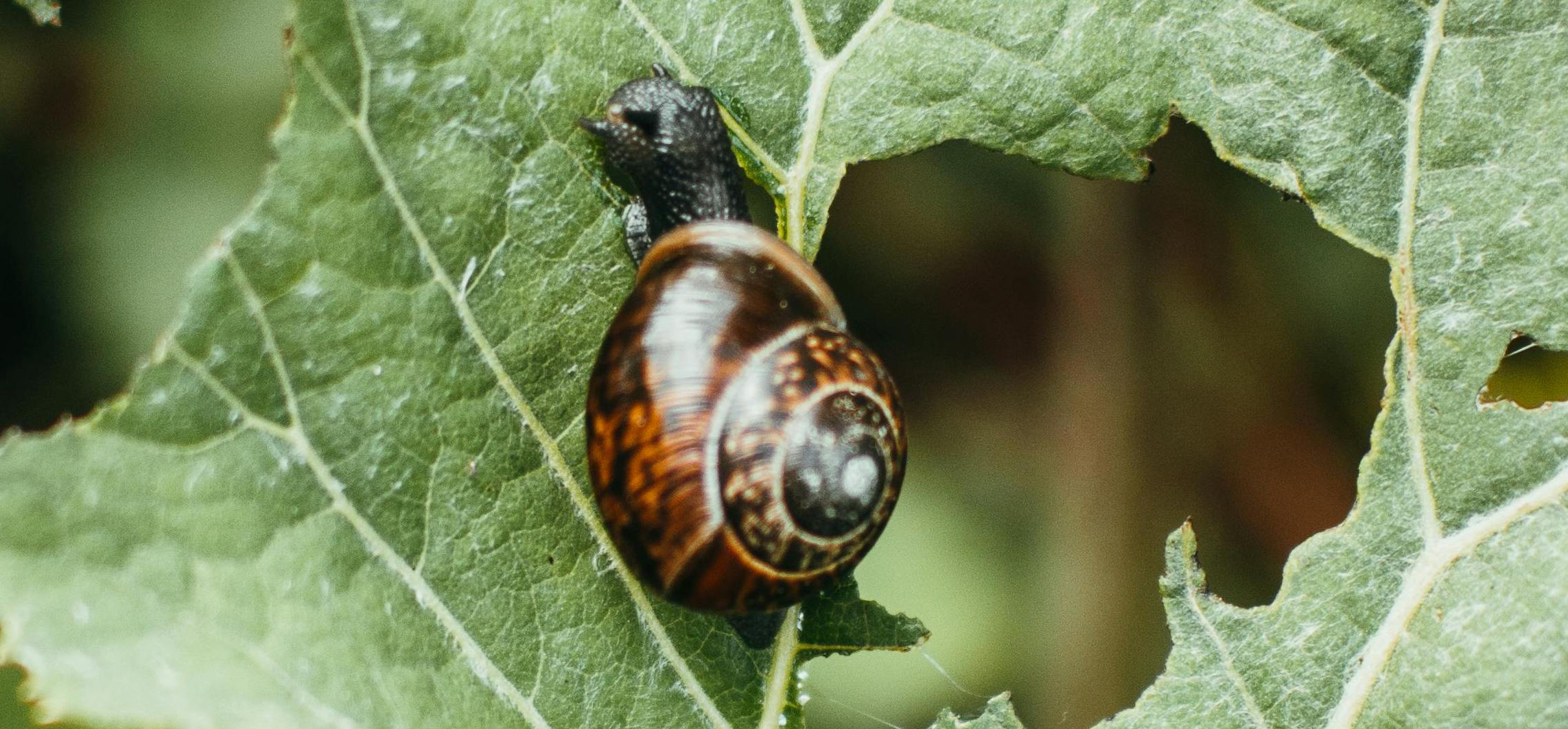 agrobio-trading-main-img