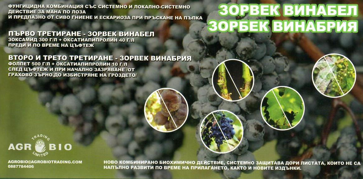 agrobio-trading-main-img