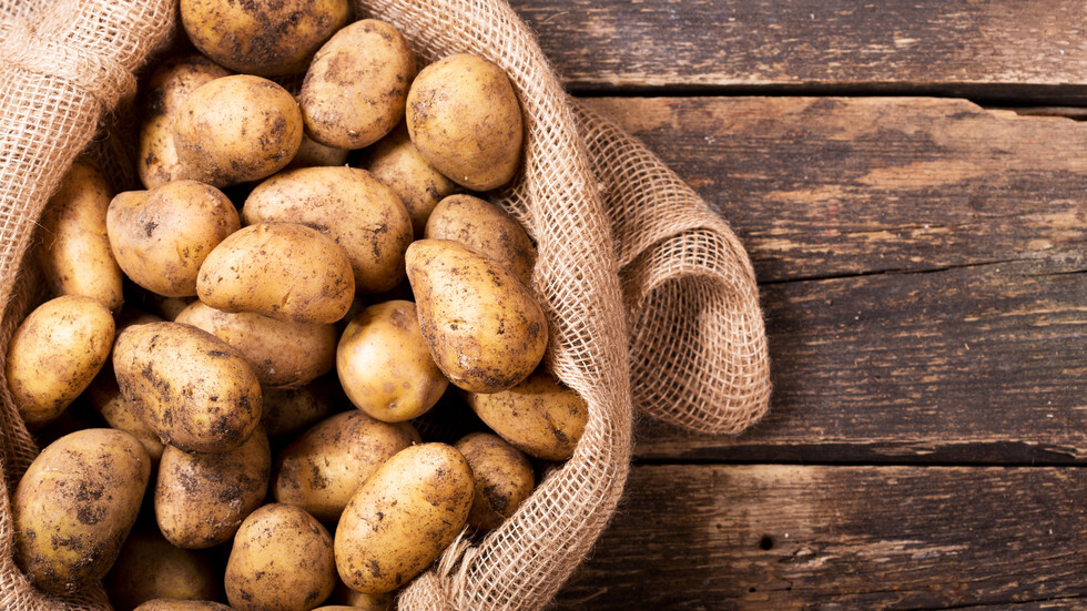 agrobio-trading-main-img