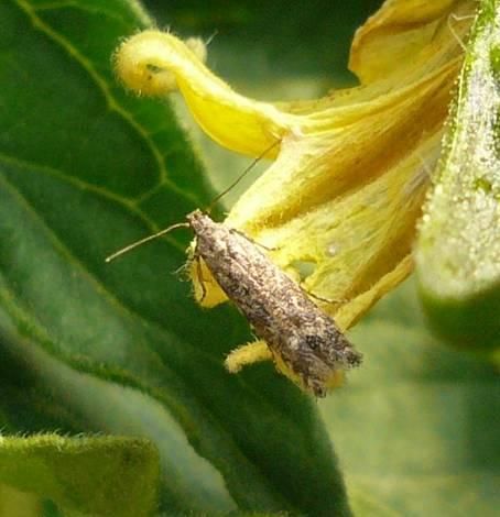 agrobio-trading-main-img