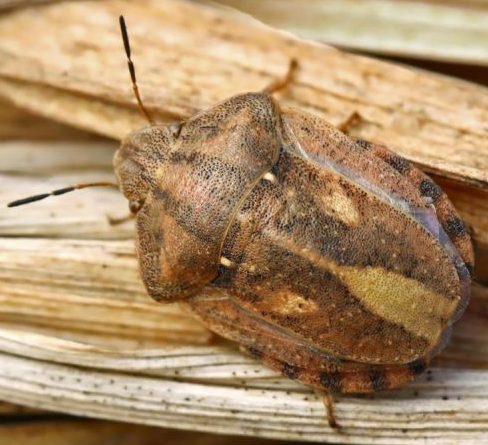 agrobio-trading-main-img