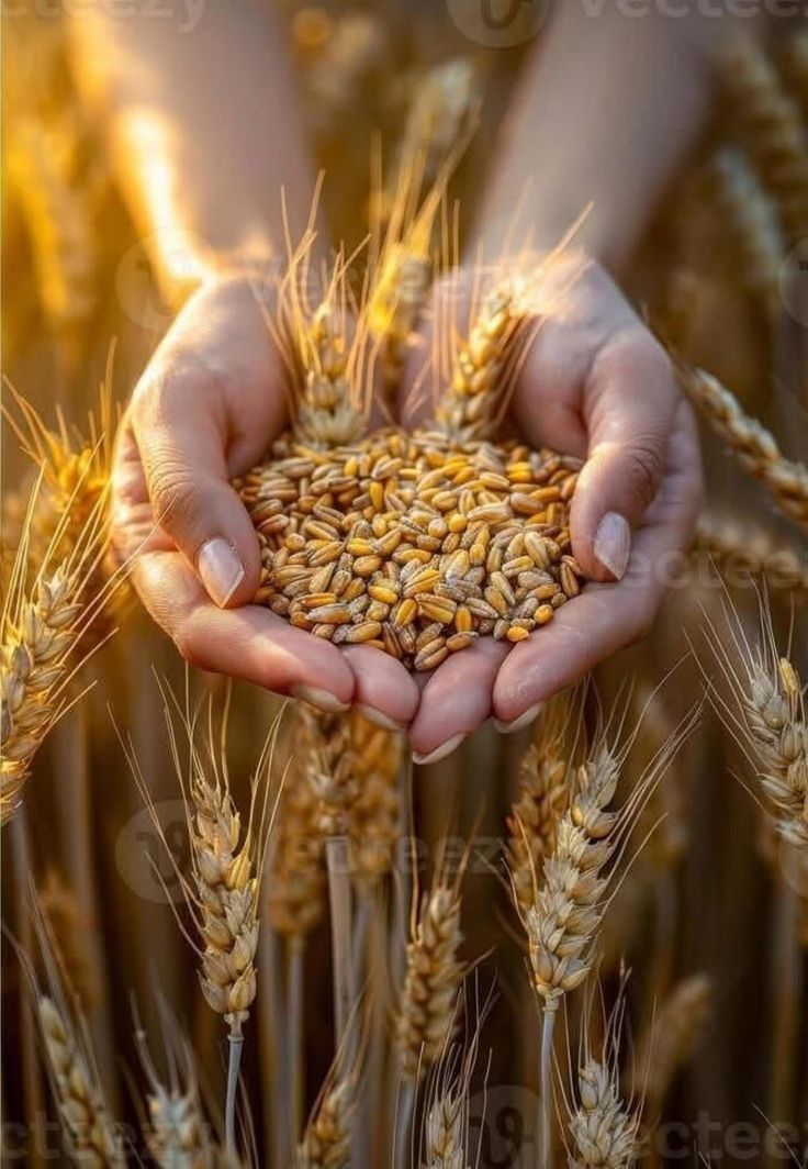 agrobio-trading-main-img